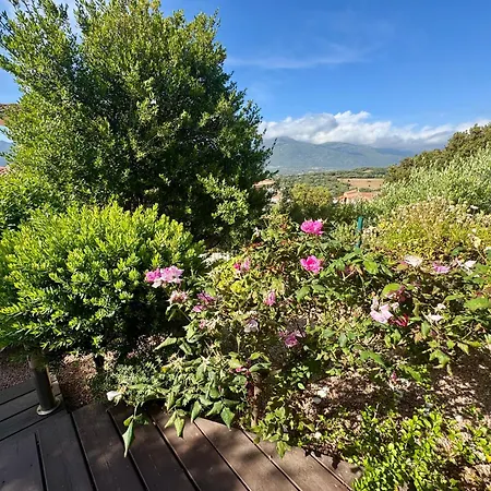 Apartment Deux Pieces Confort Sur Les Hauteurs De Propriano (Corsica)