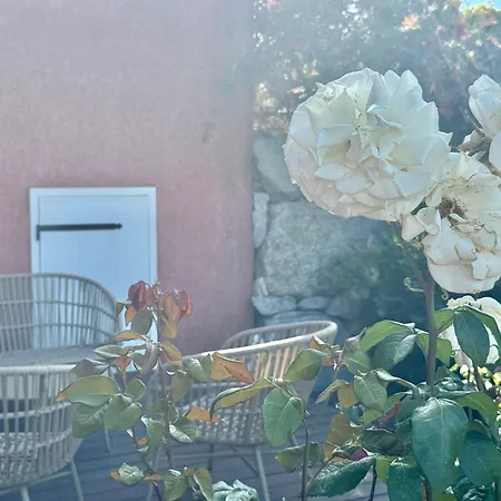 Deux Pieces Confort Sur Les Hauteurs De Apartment Propriano (Corsica)