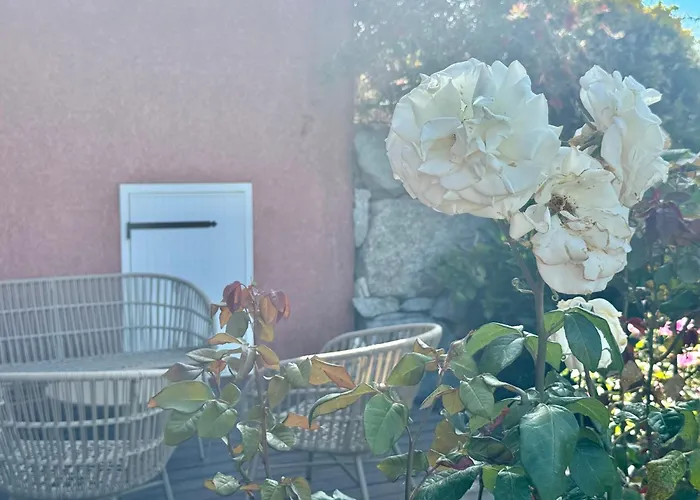 Deux Pieces Confort Sur Les Hauteurs De Apartment Propriano (Corsica)